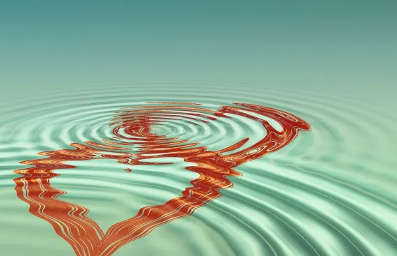 BingoCom Kazino Atbalsts